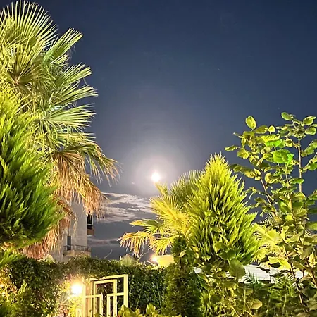 Garden * Golem (Tirana)
